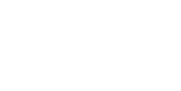 The Murder Mystery Guide
